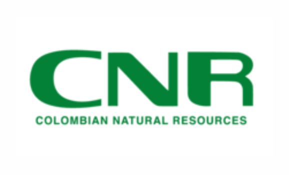 Logo CNR