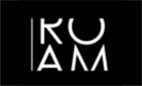 Logo ROAM